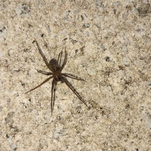 Meet your Posher, Amber-lee